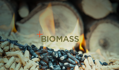 Biomass